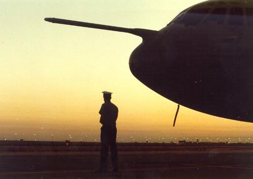 Aircraft Guard